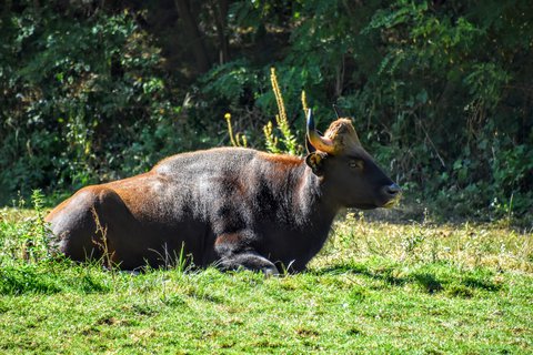 FOTKA - Putovn po jin Morav  ZOO Len
