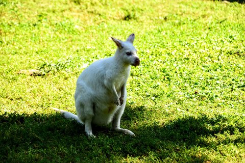 FOTKA - Putovn po jin Morav  ZOO Len