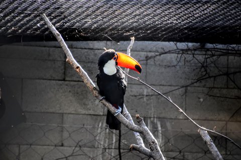 FOTKA - Putovn po jin Morav  ZOO Len