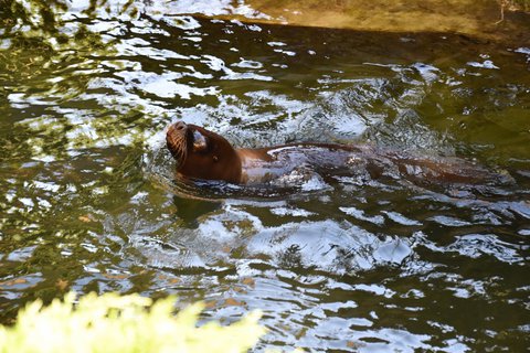 FOTKA - Putovn po jin Morav  ZOO Len
