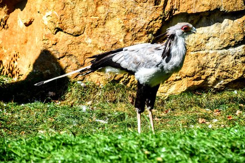 FOTKA - Putovn po jin Morav  ZOO Len