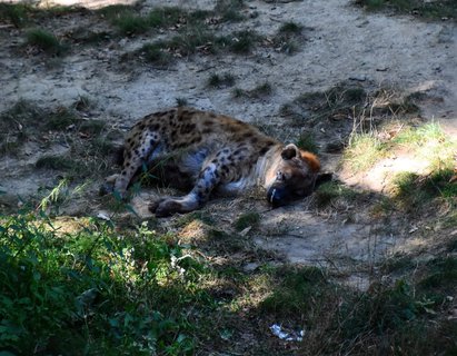 FOTKA - Putovn po jin Morav  ZOO Len