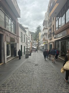 FOTKA - Icod de la Vinos - msto tisciletho draho stromu