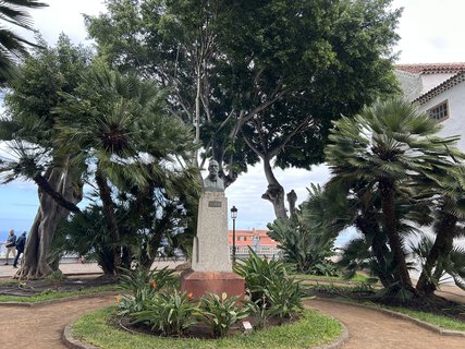 FOTKA - Icod de la Vinos - msto tisciletho draho stromu