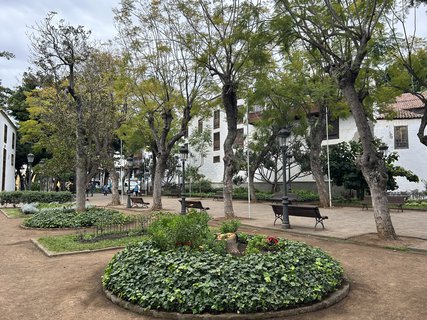 FOTKA - Icod de la Vinos - msto tisciletho draho stromu