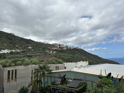 FOTKA - Icod de la Vinos - msto tisciletho draho stromu