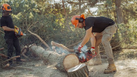 FOTKA - Farma Vojty Kotka, dl 1: Jak to vechno zaalo, co pro rodinku znamen maringotka a pro je dleit svit se kozrovickm s vlastnmi plny?