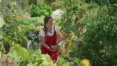 FOTKA - Zahradnice po ruce 26.10. 2025