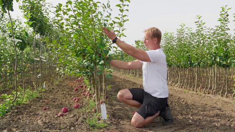 FOTKA - RECEPT PRIMA NPAD 26. 10. 2025