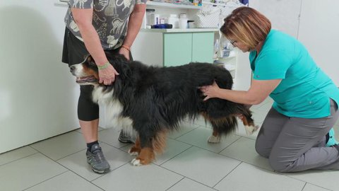 FOTKA - RECEPT PRIMA NPAD 26. 10. 2025