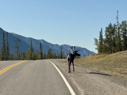 FOTKA - Fotr na tripu - 29. 10. 2025