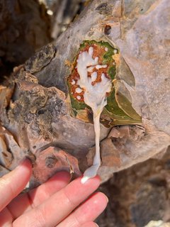 FOTKA - Pro darovat k Vnocm kadidlo a kadidlovou kosmetiku Luban