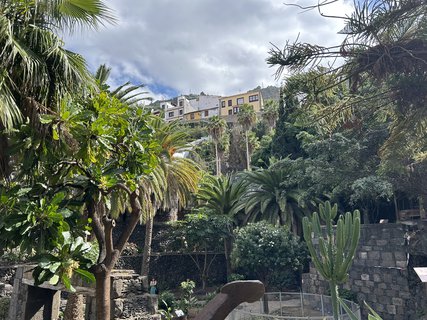 FOTKA - Garachico - historick srdce severozpadnho Tenerife