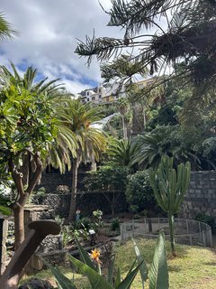 FOTKA - Garachico - historick srdce severozpadnho Tenerife