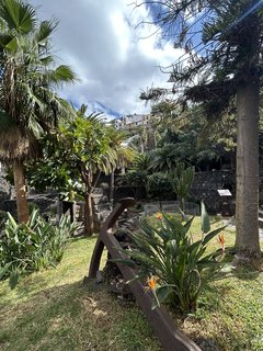 FOTKA - Garachico - historick srdce severozpadnho Tenerife