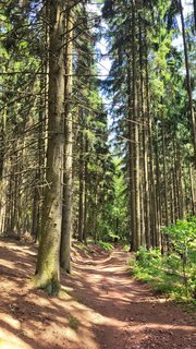 FOTKA - Svatojakubsk vchodoesk  vlet tinct