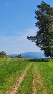 FOTKA - Svatojakubsk vchodoesk  vlet tinct