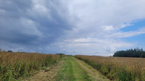 FOTKA - Svatojakubsk vchodoesk  vlet trnct