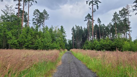 FOTKA - Svatojakubsk vchodoesk  vlet trnct