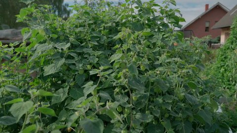 FOTKA - Zahradnice po ruce 9.11. 2025