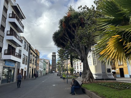 FOTKA - San Cristobal de La Laguna