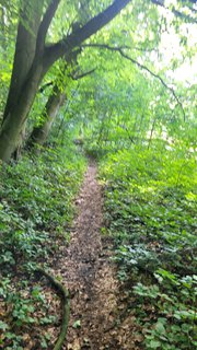 FOTKA - Svatojakubsk� v�chodo�esk� � v�let �estn�ct�