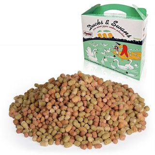 FOTKA - Tommi Ducks & Swans: Jak sprvn krmit kachny a labut (bez peiva)