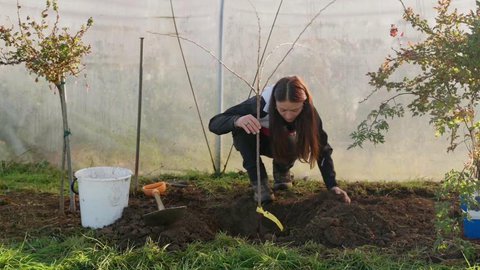 FOTKA - RECEPT PRIMA NPAD 16. 11. 2025