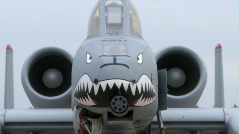 FOTKA - Uniktn dokumenty na Prima ZOOM pro 48. tden