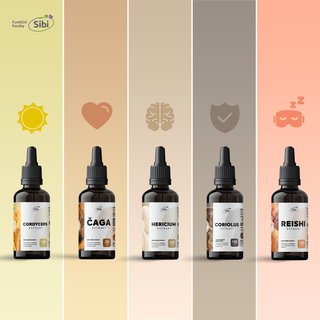 FOTKA - L��iv� houby: tajemstv� imunity, energie a skv�l�ho sp�nku