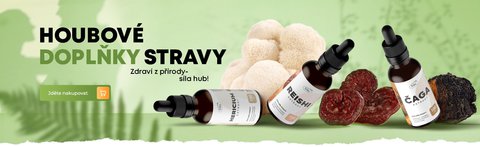 FOTKA - Liv houby: tajemstv imunity, energie a skvlho spnku