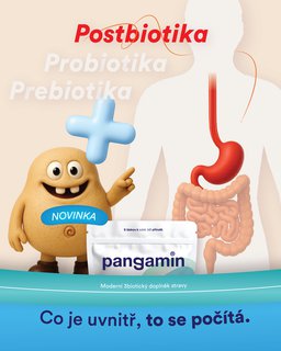 FOTKA - Nae druh j ve stevech: pro se k, e tlust stevo je druh mozek