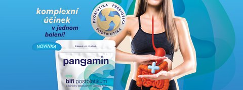 FOTKA - Nae druh j ve stevech: pro se k, e tlust stevo je druh mozek