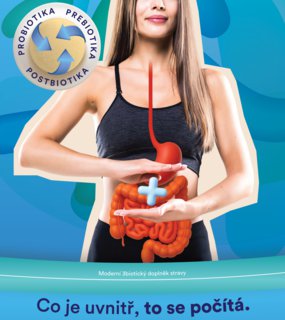 FOTKA - Nae druh j ve stevech: pro se k, e tlust stevo je druh mozek