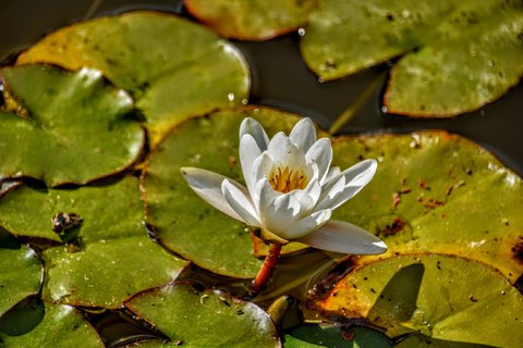 FOTKA - Putovn po jin Morav  Buchlovice, Vizovice