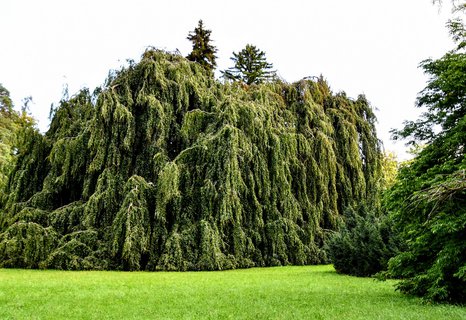 FOTKA - Putovn po jin Morav  Buchlovice, Vizovice