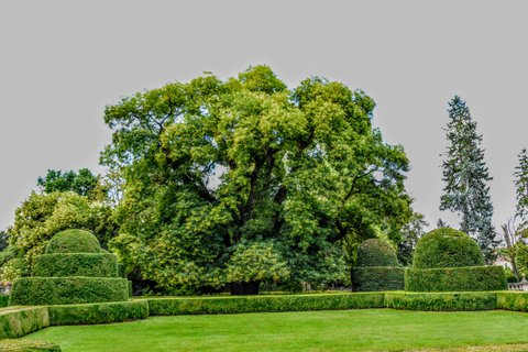 FOTKA - Putovn po jin Morav  Buchlovice, Vizovice