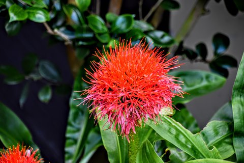 FOTKA - Putovn po jin Morav  Buchlovice, Vizovice