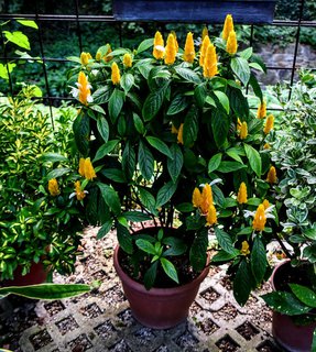 FOTKA - Putovn po jin Morav  Buchlovice, Vizovice