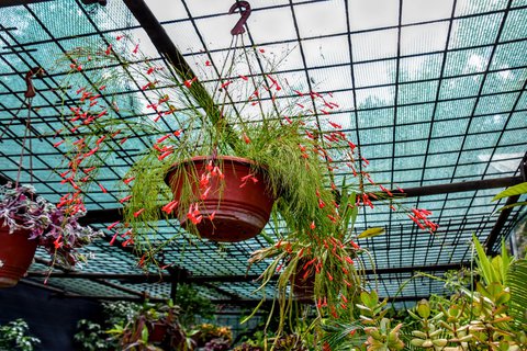 FOTKA - Putovn po jin Morav  Buchlovice, Vizovice