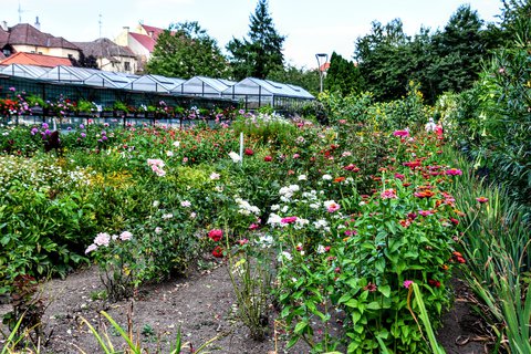 FOTKA - Putovn po jin Morav  Buchlovice, Vizovice