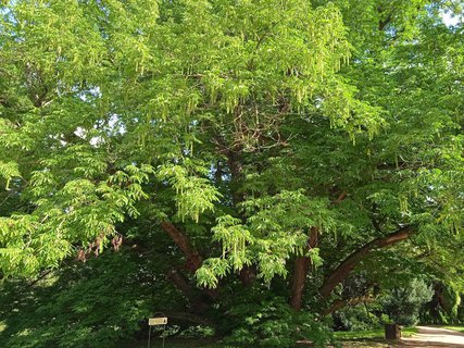 FOTKA - Putovn po jin Morav  Buchlovice, Vizovice