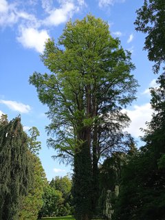 FOTKA - Putovn po jin Morav  Buchlovice, Vizovice