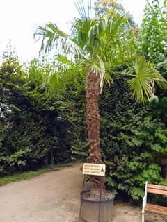 FOTKA - Putovn po jin Morav  Buchlovice, Vizovice