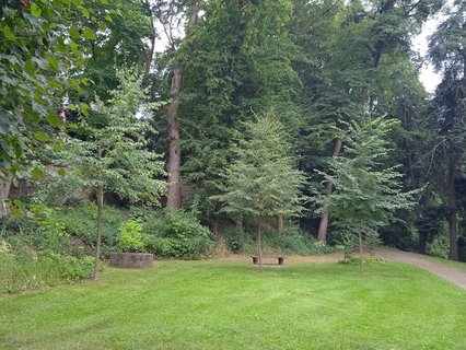 FOTKA - Putovn po jin Morav  Buchlovice, Vizovice