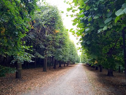 FOTKA - Putovn po jin Morav  Buchlovice, Vizovice