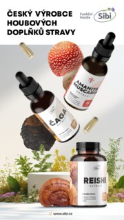 FOTKA - V�d�li jste, �e Santa Claus je prototypem �erven� muchom�rky?