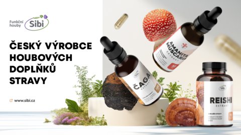 FOTKA - V�d�li jste, �e Santa Claus je prototypem �erven� muchom�rky?