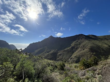 FOTKA - Masca - prodn rj