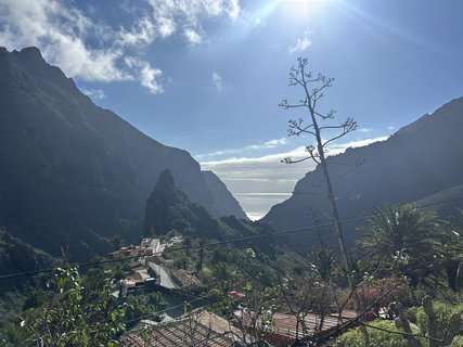 FOTKA - Masca - prodn rj